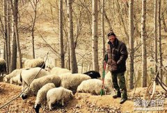 <b>房宁走读大运河：华北大平原上的半天然经济</b>
